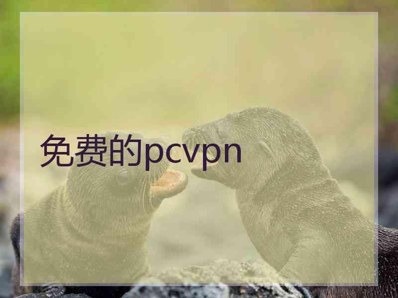 免费的pcvpn